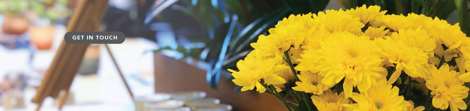 Dextrus PartnersGet In Touch