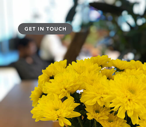 Dextrus PartnersGet In Touch