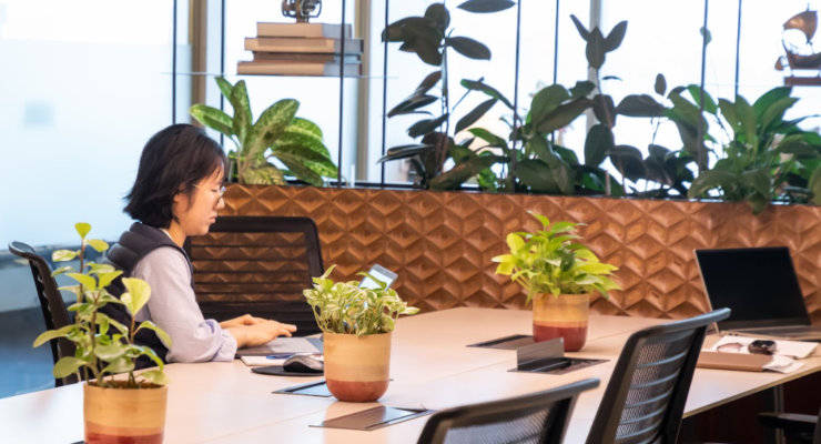 Office spaces for Startup entrepreneurs